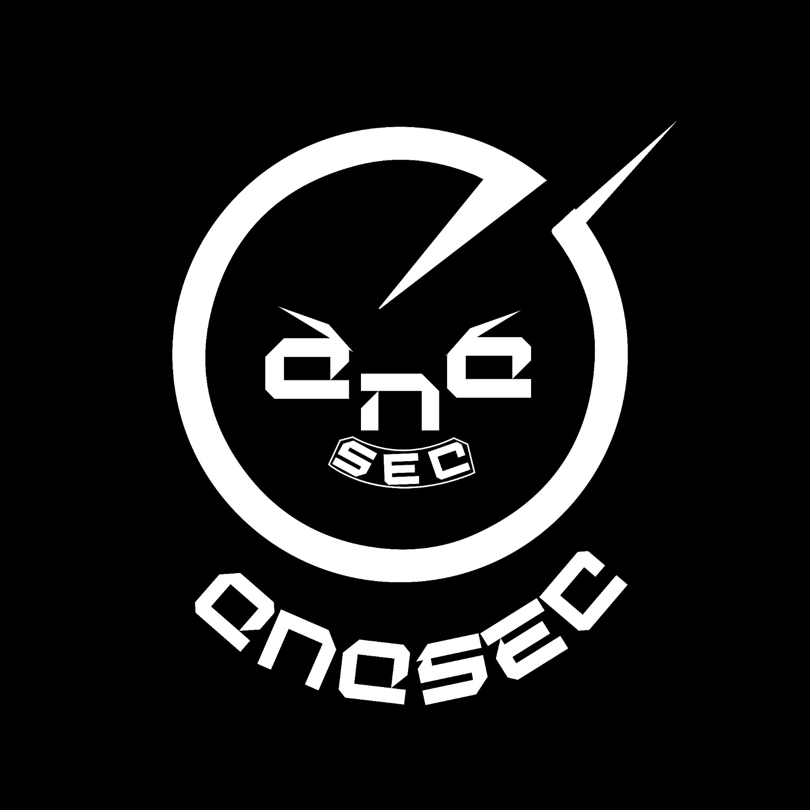 QnQSec Logo